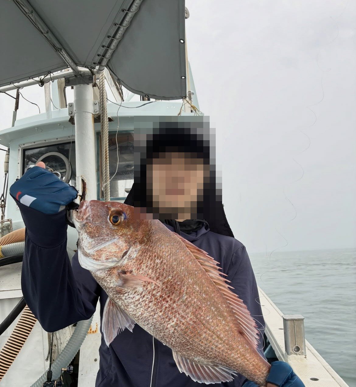 明石沖のタイラバで釣れたマダイ