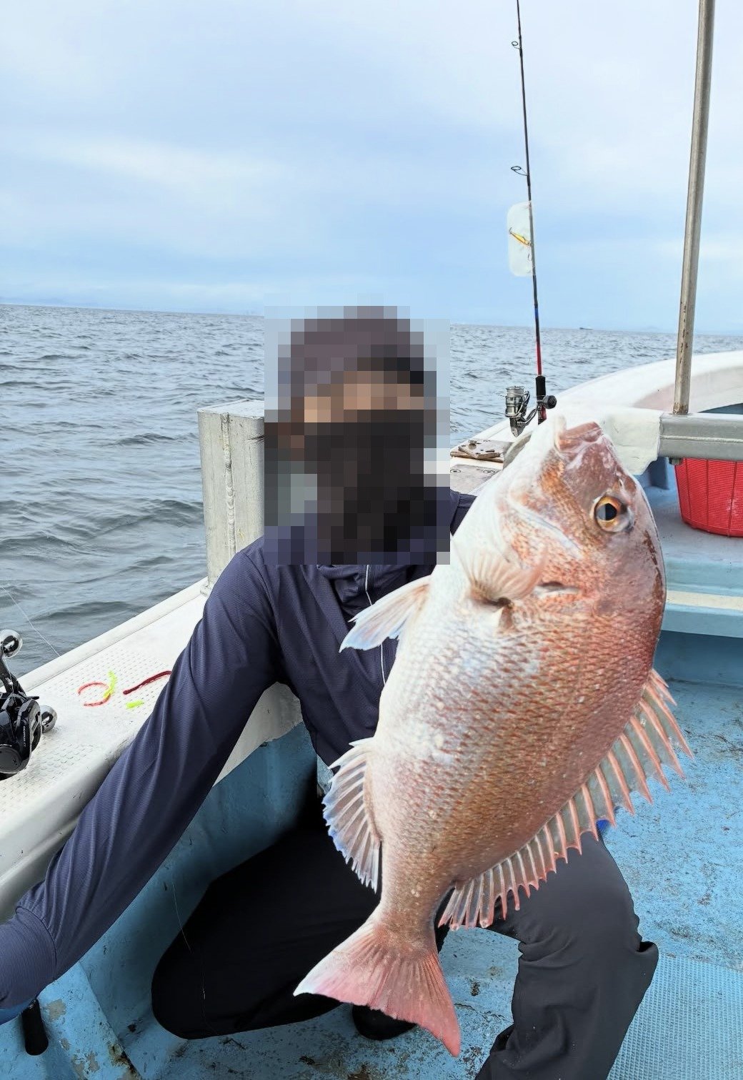明石沖のタイラバで釣れたマダイ